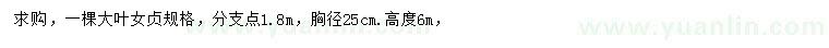 求購胸徑25公分大葉女貞
