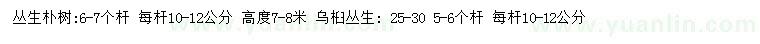 求購(gòu)每桿10-12公分叢生樸樹(shù)、叢生烏桕