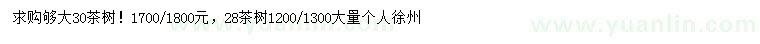 求購28、30公分茶樹