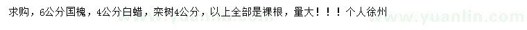 求購國槐、白蠟，欒樹
