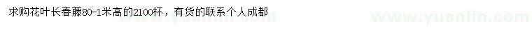 求購(gòu)高80公分-1米花葉長(zhǎng)春藤