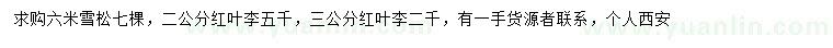 求購(gòu)6米雪松、2/3公分紅葉李