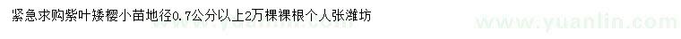 求購地徑0.7公分以上紫葉矮櫻