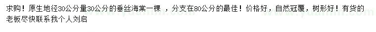 求購地徑30量30公分垂絲海棠