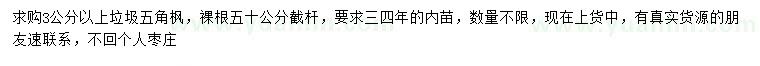 求購(gòu)3公分以上五角楓