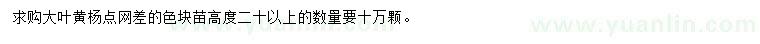 求購(gòu)高20公分以上大葉黃楊