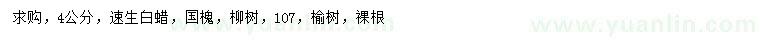 求購速生白蠟、國槐、柳樹等
