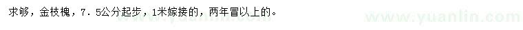 求購(gòu)7.5公分起步金枝槐