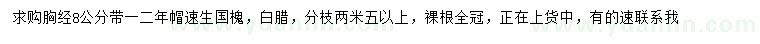 求購胸徑8公分速生國槐、白蠟