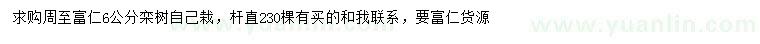 求購(gòu)6公分欒樹
