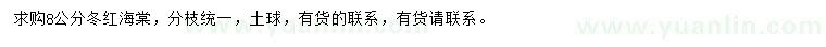 求購8公分冬紅海棠