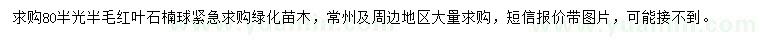 求購紅葉石楠球