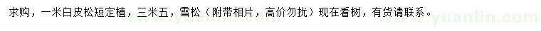求購1米白皮松、3.5米雪松