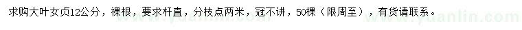 求購(gòu)12公分大葉女貞
