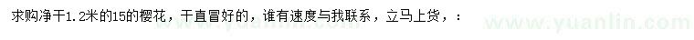 求購(gòu)15公分櫻花