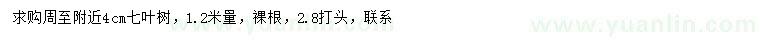 求購4公分七葉樹
