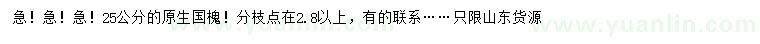 求購(gòu)25公分國(guó)槐