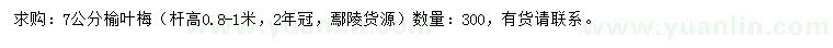 求購7公分榆葉梅