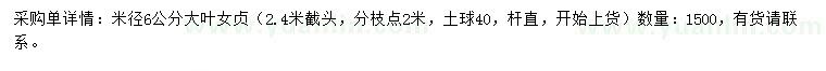 求購米徑6公分大葉女貞