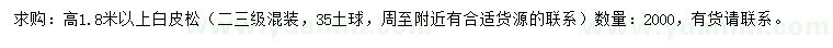 求購高1.8米以上白皮松