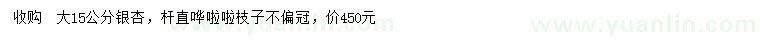 求購(gòu)15公分銀杏