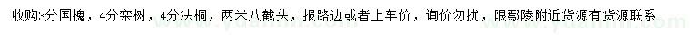 求購國槐、欒樹、法桐