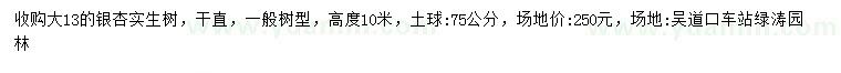 求購(gòu)13公分銀杏