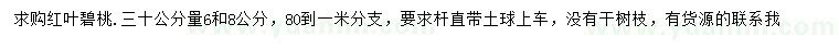 求購(gòu)30公分量6、8公分紅葉碧桃