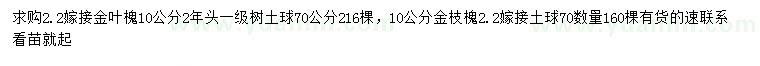 求購10公分金葉槐、金枝槐