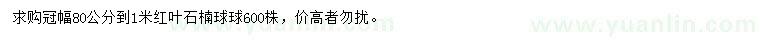 求購冠幅80公分到1米紅葉石楠球