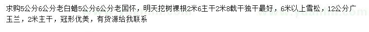 求購老白蠟、老國槐、雪松等