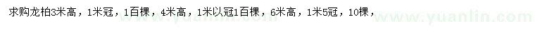 求購高3、4、6米龍柏