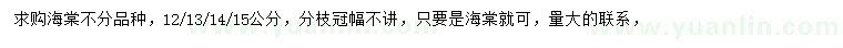 求購12/13/14/15公分海棠