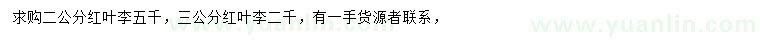 求購(gòu)2、3公分紅葉李