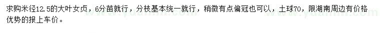 求購米徑12.5公分大葉女貞