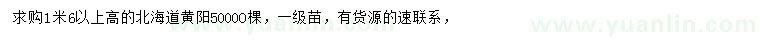 求購(gòu)高1.6米以上北海道黃楊