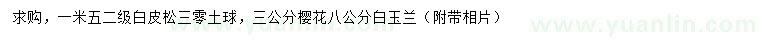 求購(gòu)白皮松、櫻花、白玉蘭