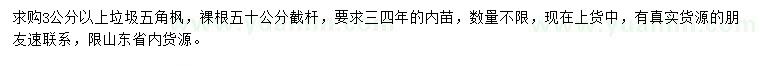 求購3公以上五角楓