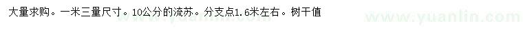 求購(gòu)1.3米量10公分流蘇