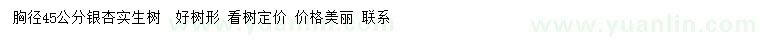 求購胸徑45公分銀杏