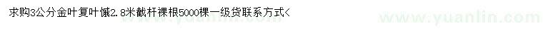 求購(gòu)3公分金葉復(fù)葉槭