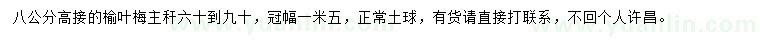 求購(gòu)8公分榆葉梅