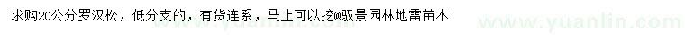 求購20公分羅漢松