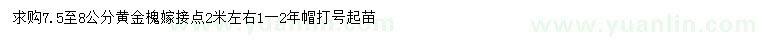 求購7.5至8公分黃金槐