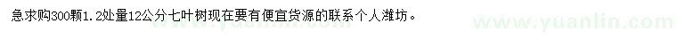 求購1.2米量12公分七葉樹