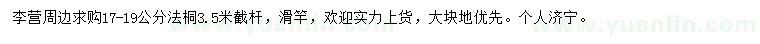 求購17-19公分法桐