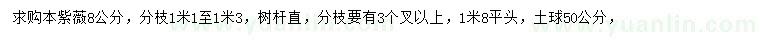 求購8公分紫薇