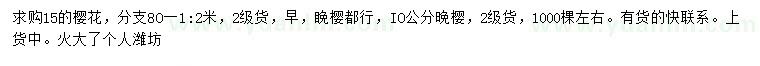 求購10、15公分櫻花