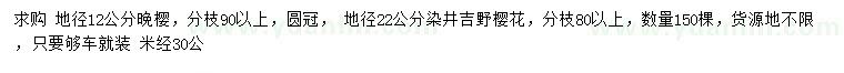 求購地徑12公分晚櫻、地徑22公分染井吉野櫻花