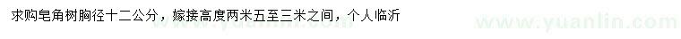 求購胸徑12公分皂角樹